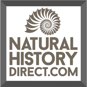 Natural History Direct 